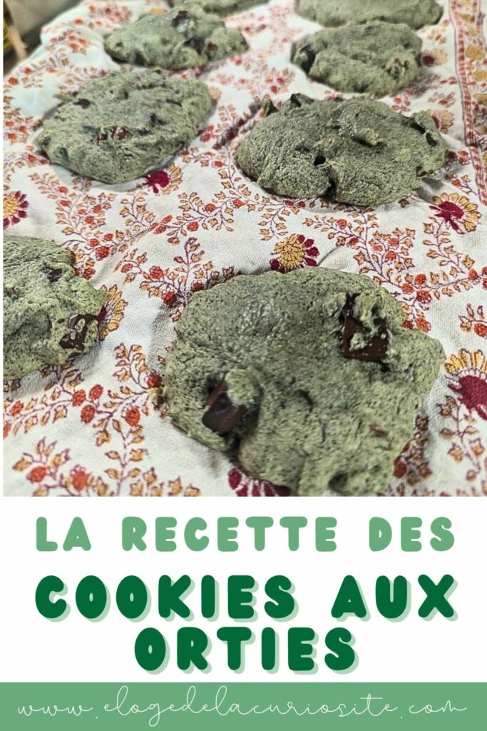 Cookies aux orties et pépites de chocolat noir posés sur un tissu fleuri, teinte verte caractéristique de la poudre d'ortie