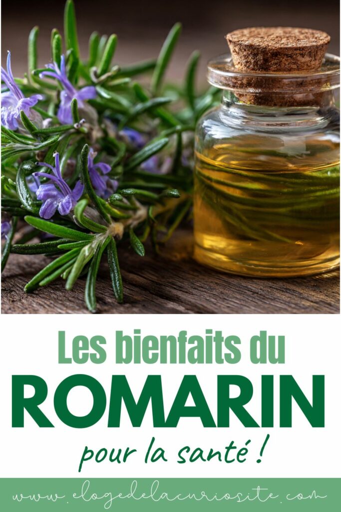 les bienfaits du romarin pour la santé